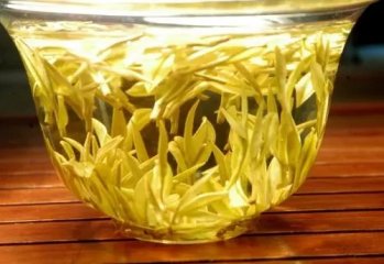 为什么大部分人都喝不懂白茶