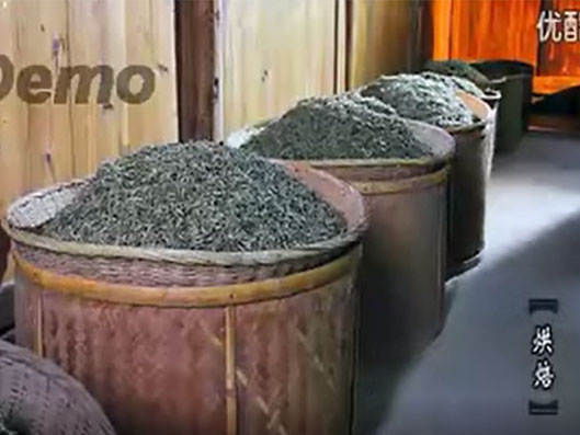 《茶乡情思》 福鼎白茶梅老爷子视频